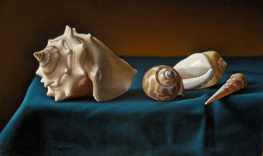 4 coquillages