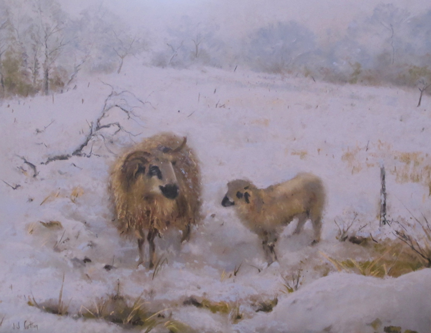 Brebis et son agneau