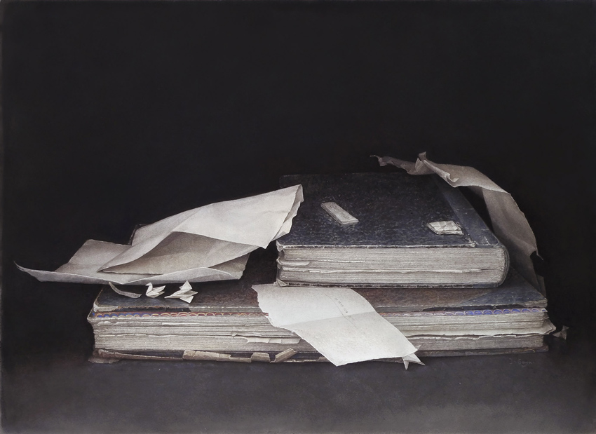 Grand livre et cocottes