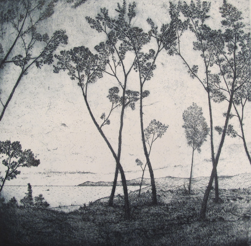 Ile de Oiens