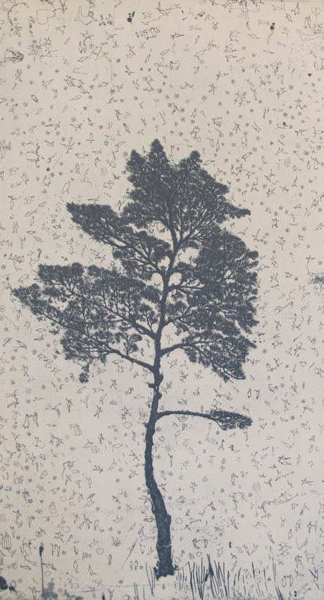 La vie des arbres