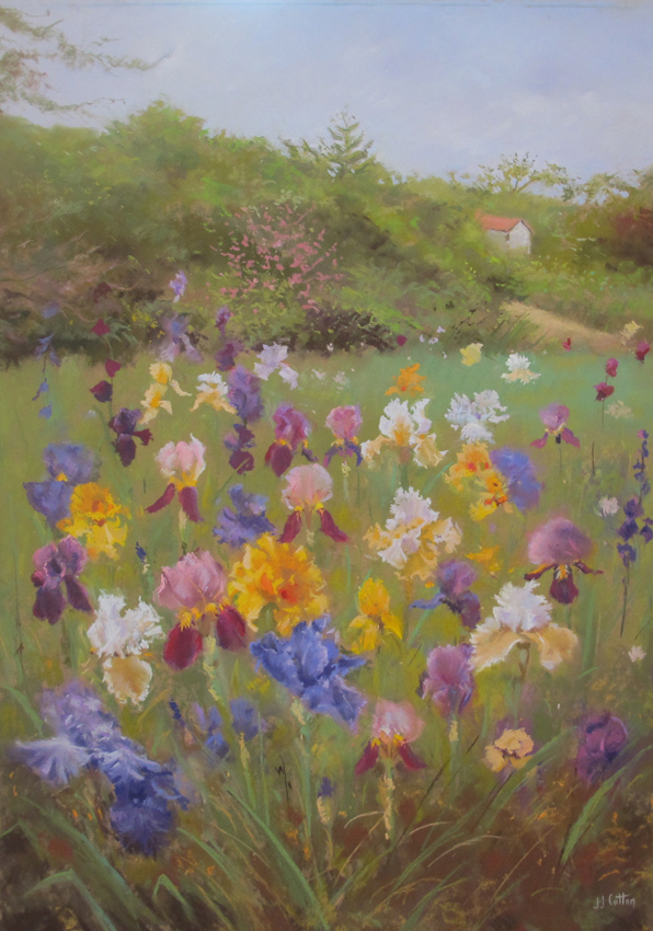 Les Iris