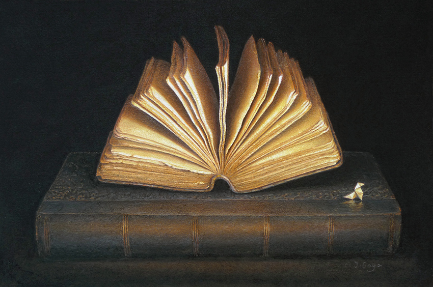 Livre ouvert et une cocotte