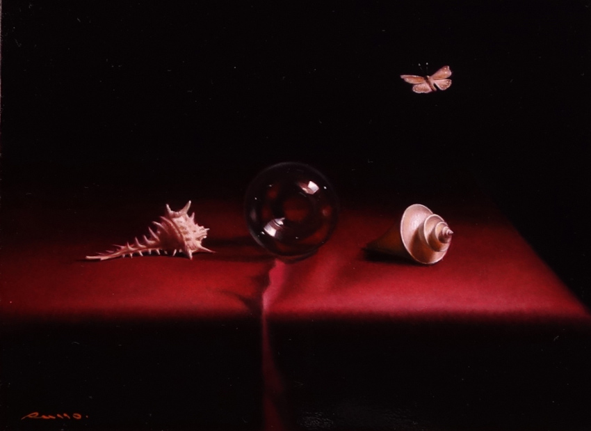Le papillon et les coquillages
