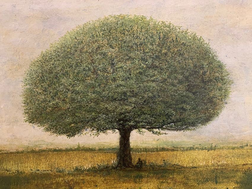 La vie des arbres