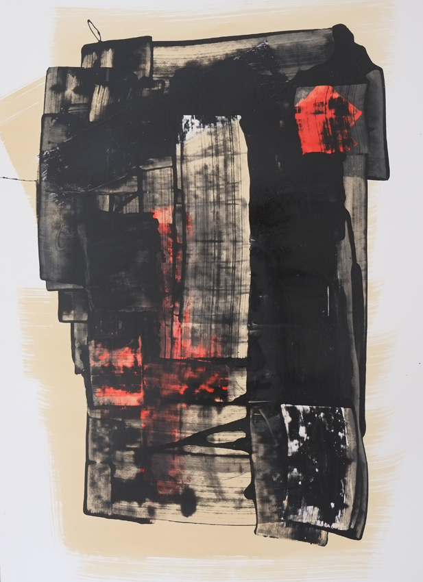 Visa N°41