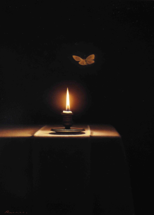 Le petit papillon